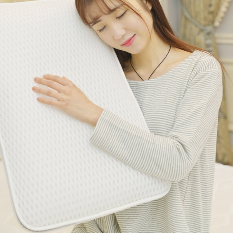 3D Slow Rebound Memory foam Core Double-Sided Mesh Pillow